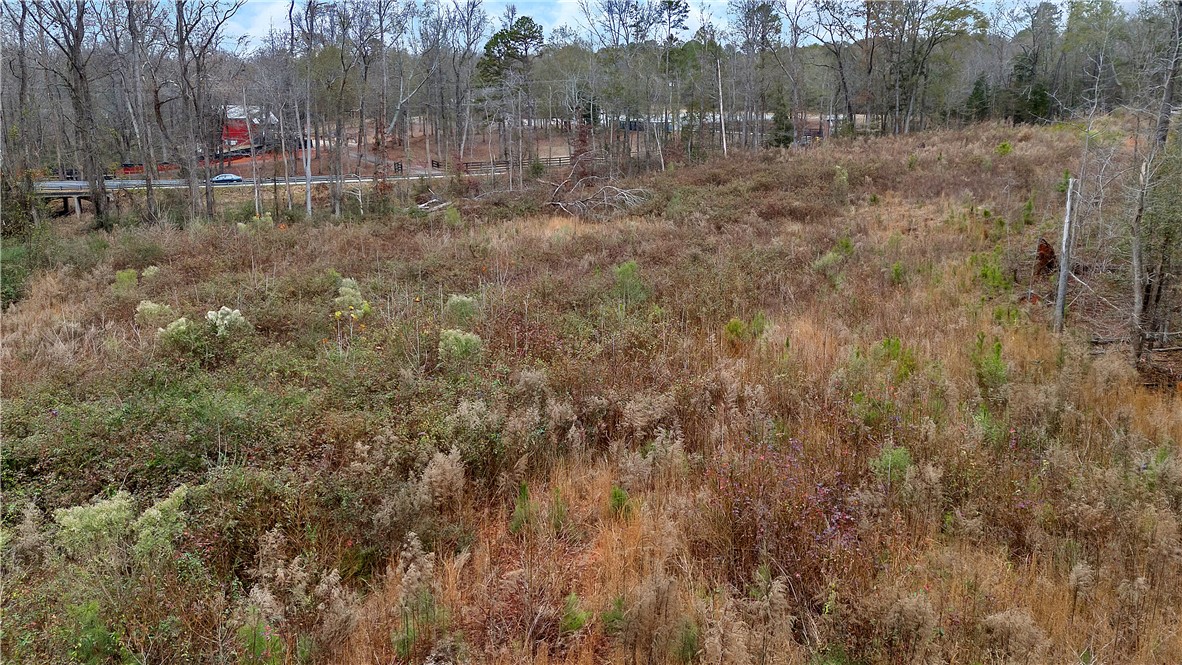 0 Highway 29 South Anderson Sc 29626 Anderson, SC 29626 - Photo 20 of 22