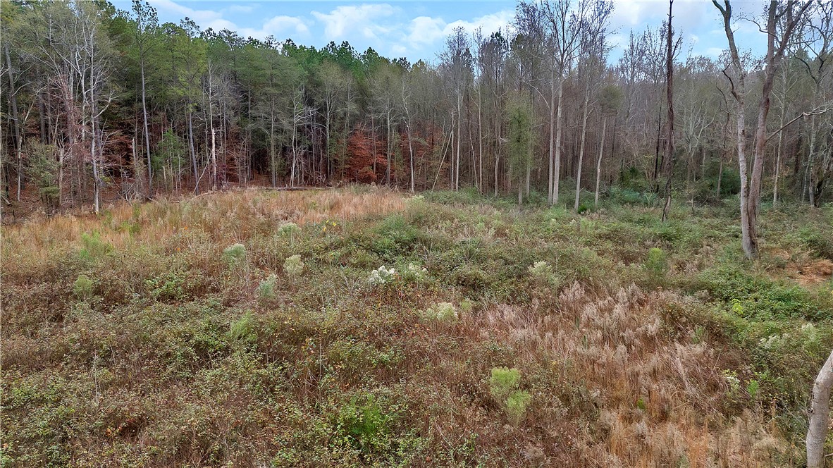 0 Highway 29 South Anderson Sc 29626 Anderson, SC 29626 - Photo 4 of 22