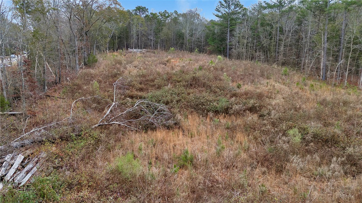 0 Highway 29 South Anderson Sc 29626 Anderson, SC 29626 - Photo 6 of 22