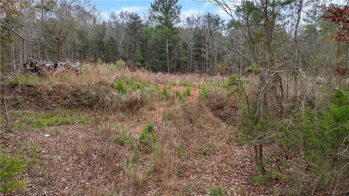 0 Highway 29 South Anderson Sc 29626 Anderson, SC 29626 - Photo 7 of 22