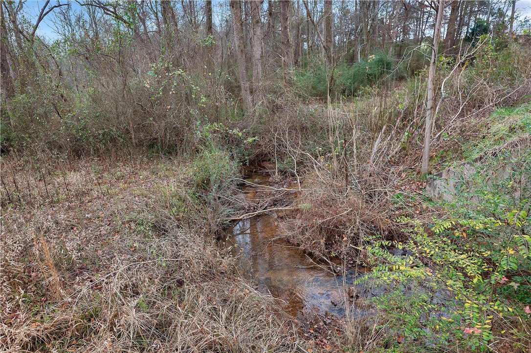 0 Highway 29 South Anderson Sc 29626 Anderson, SC 29626 - Photo 10 of 22