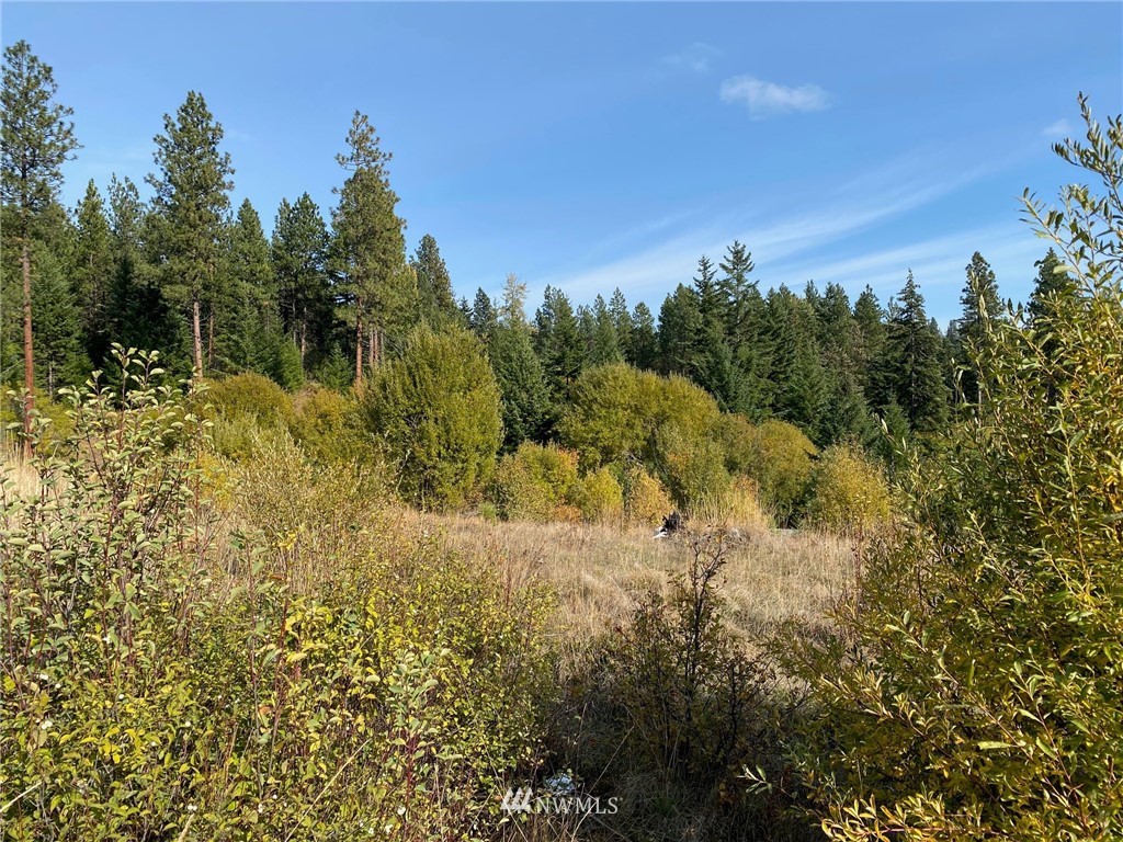 1361 Summit View Road Cle Elum, WA 98922 - Photo 13 of 32