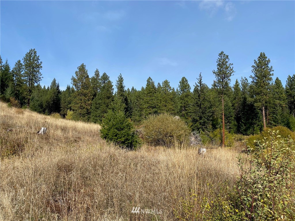 1361 Summit View Road Cle Elum, WA 98922 - Photo 14 of 32