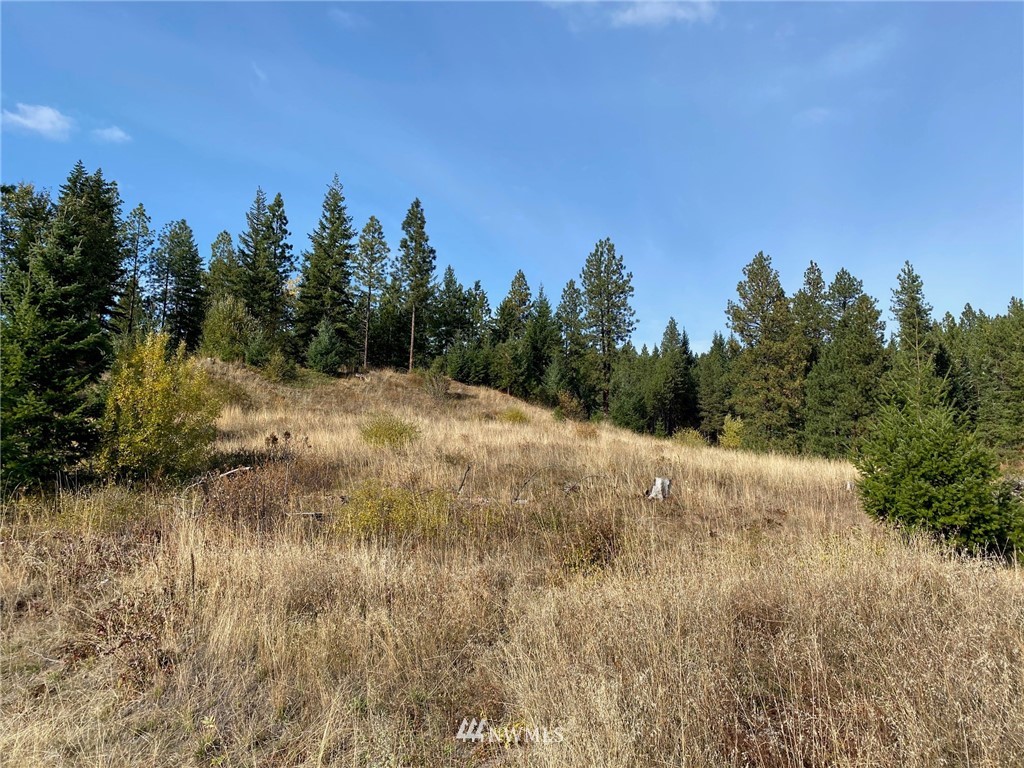 1361 Summit View Road Cle Elum, WA 98922 - Photo 15 of 32