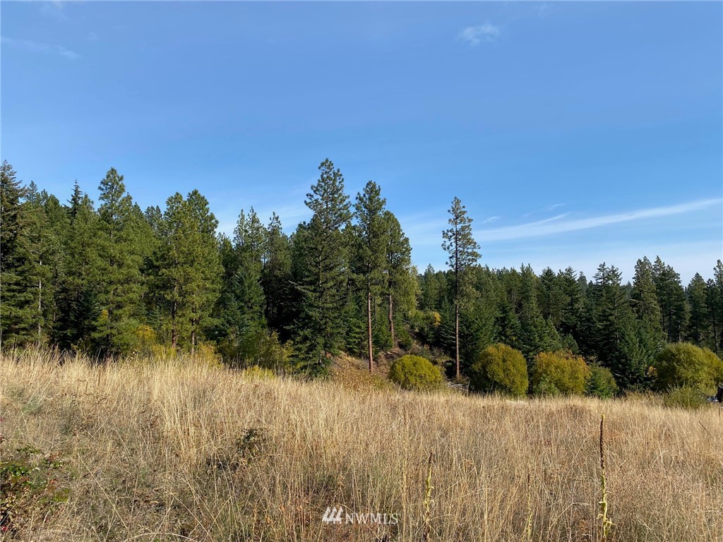 1361 Summit View Road Cle Elum, WA 98922 - Photo 16 of 32