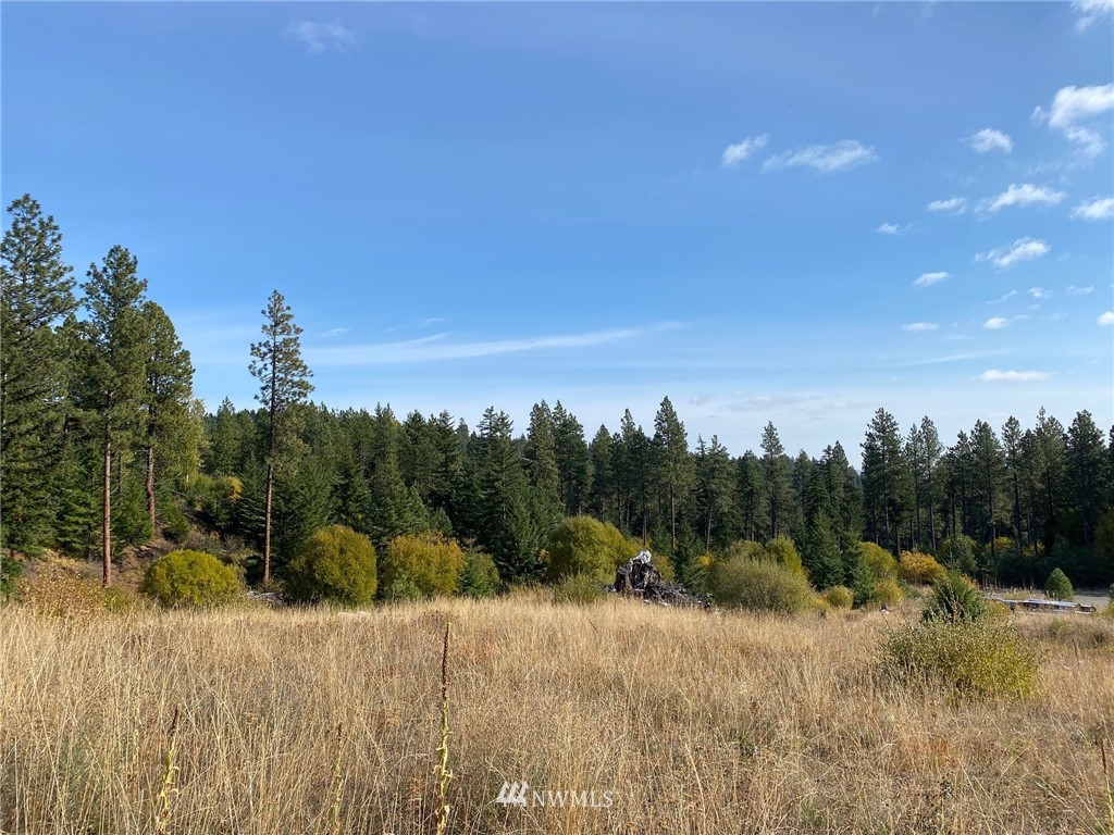 1361 Summit View Road Cle Elum, WA 98922 - Photo 17 of 32