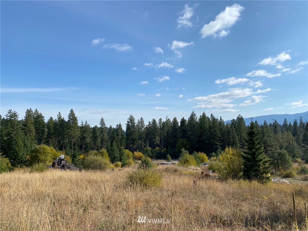 1361 Summit View Road Cle Elum, WA 98922 - Photo 18 of 32