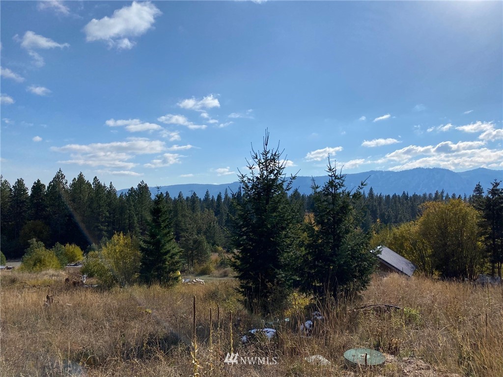 1361 Summit View Road Cle Elum, WA 98922 - Photo 19 of 32