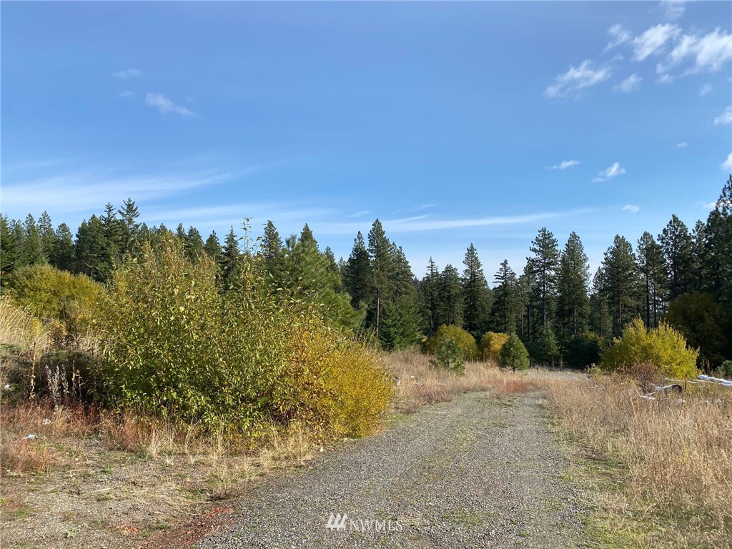 1361 Summit View Road Cle Elum, WA 98922 - Photo 20 of 32