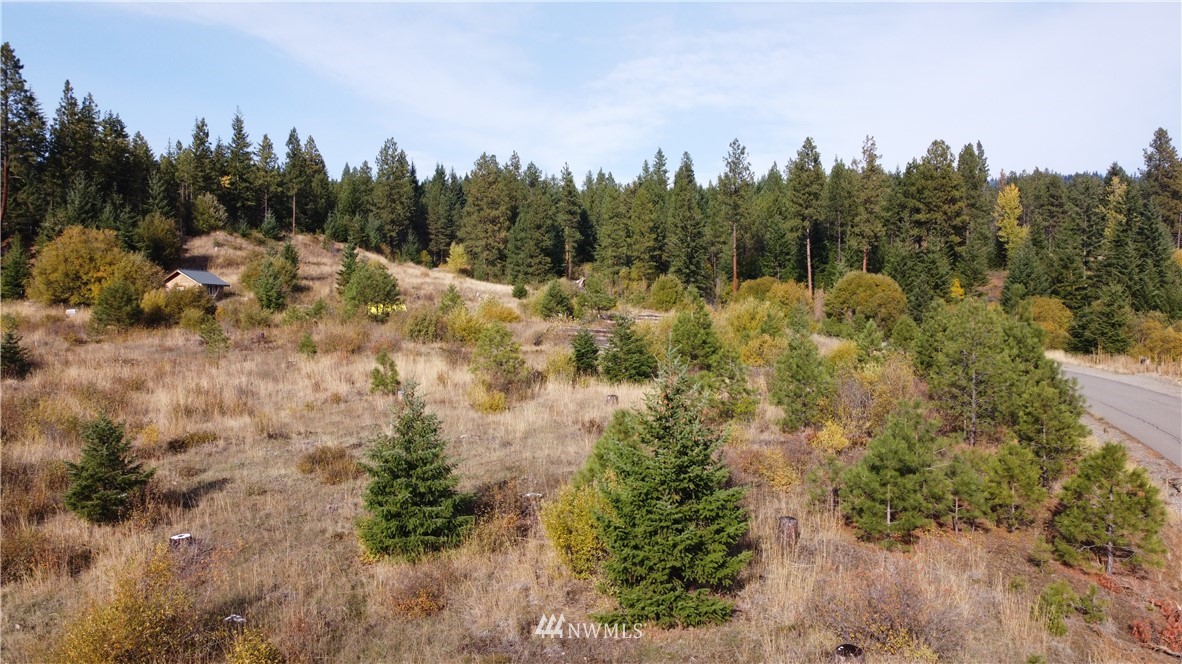 1361 Summit View Road Cle Elum, WA 98922 - Photo 3 of 32