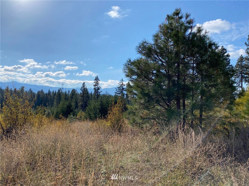 1361 Summit View Road Cle Elum, WA 98922 - Photo 21 of 32