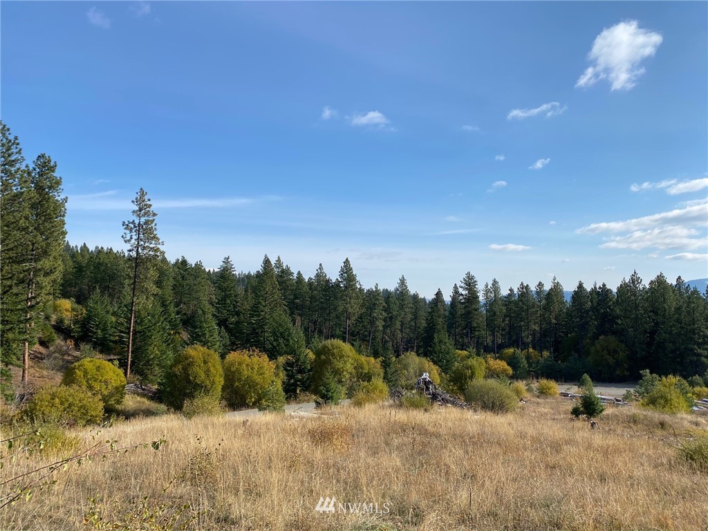 1361 Summit View Road Cle Elum, WA 98922 - Photo 22 of 32