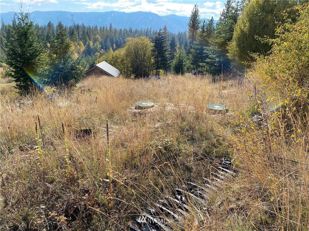 1361 Summit View Road Cle Elum, WA 98922 - Photo 25 of 32