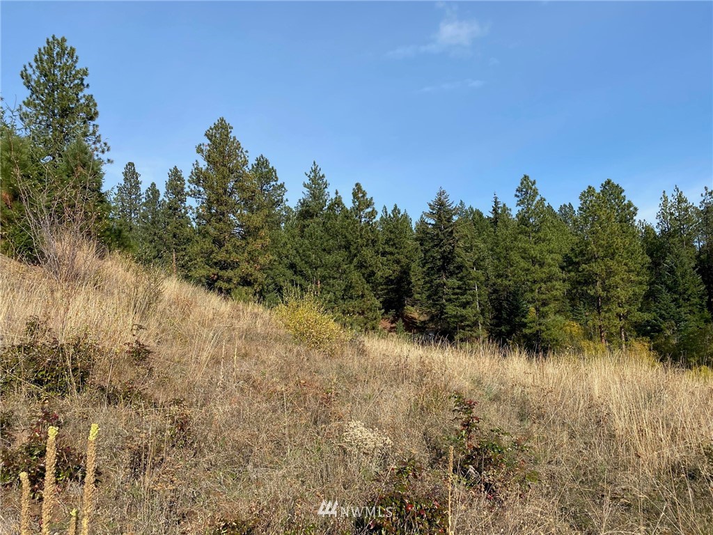 1361 Summit View Road Cle Elum, WA 98922 - Photo 27 of 32