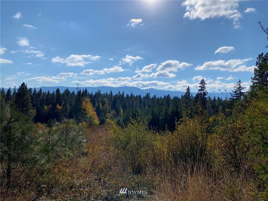 1361 Summit View Road Cle Elum, WA 98922 - Photo 28 of 32