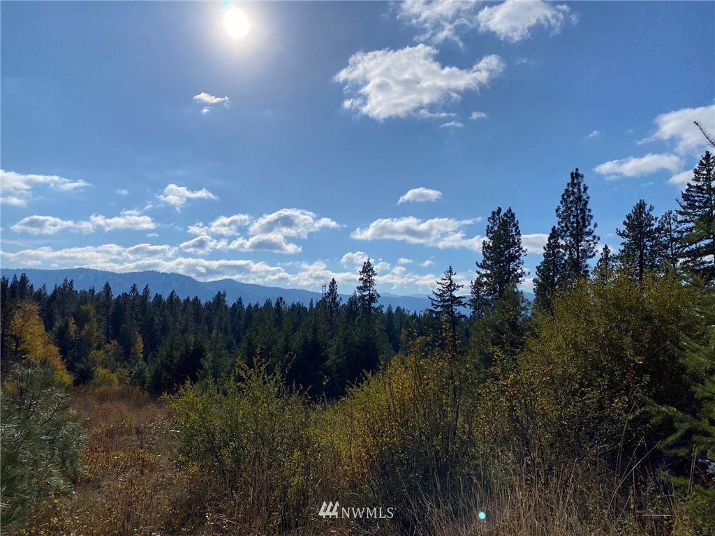 1361 Summit View Road Cle Elum, WA 98922 - Photo 29 of 32