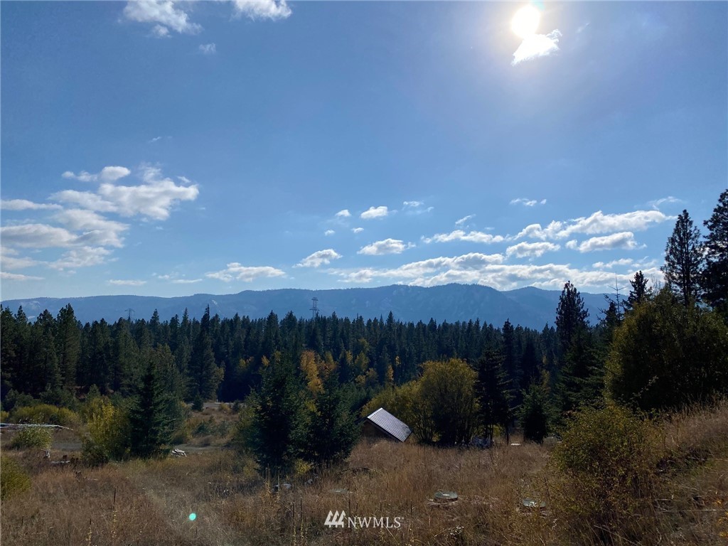 1361 Summit View Road Cle Elum, WA 98922 - Photo 31 of 32