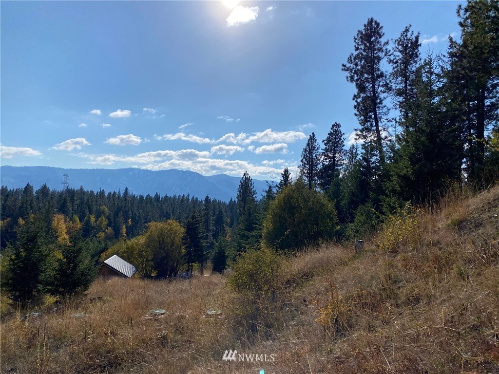 1361 Summit View Road Cle Elum, WA 98922 - Photo 32 of 32