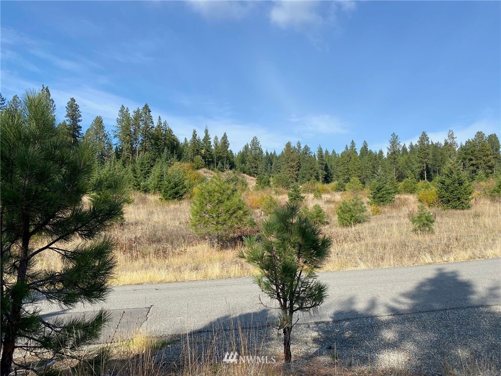 1361 Summit View Road Cle Elum, WA 98922 - Photo 10 of 32