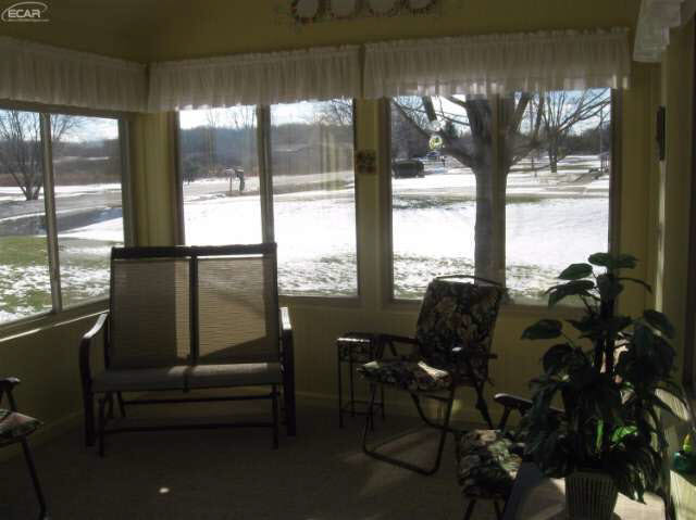 20458003-5.JPG