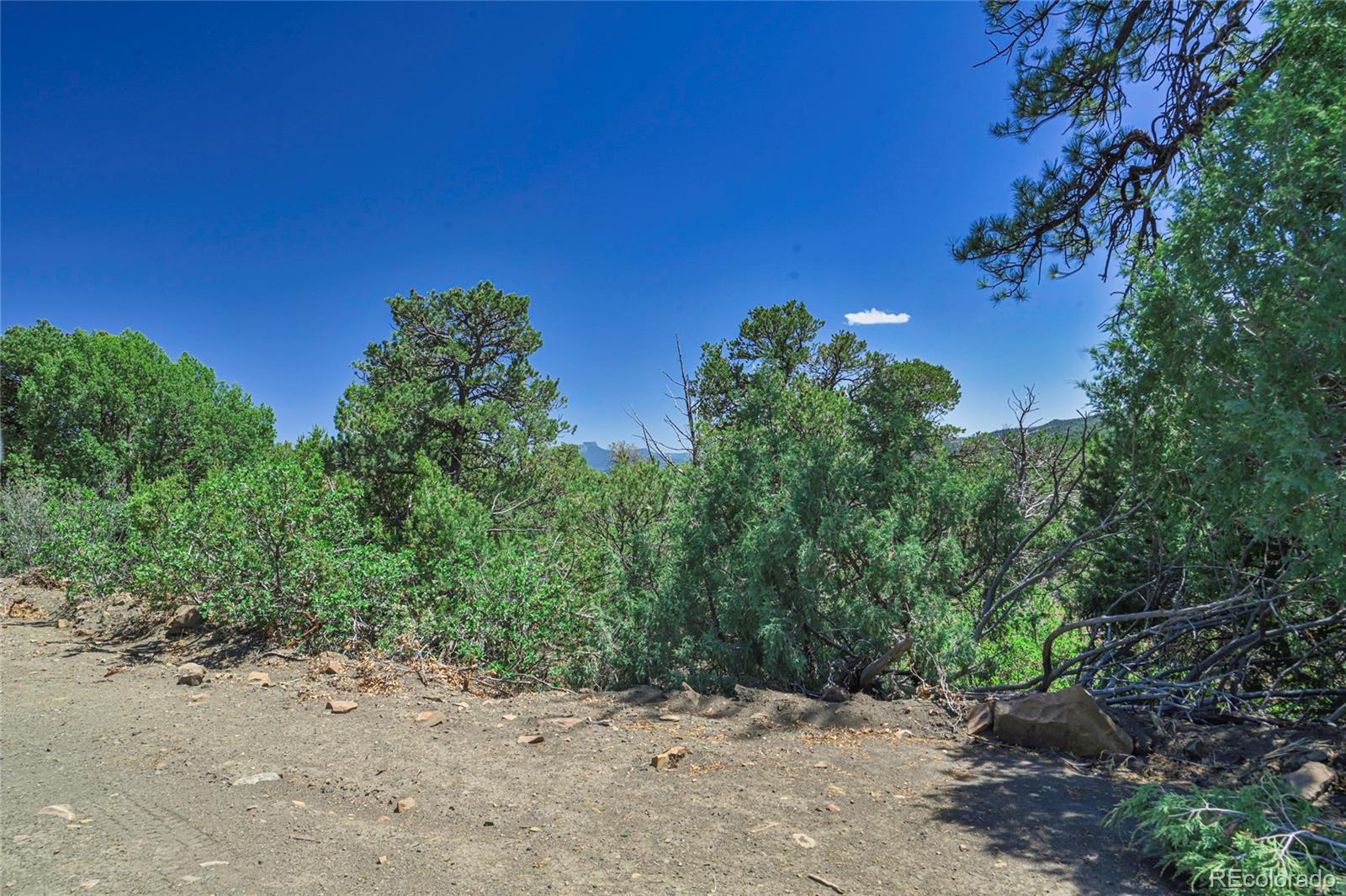 Fishers Peak Ranch Trinidad, CO 81082 - Photo 20 of 32