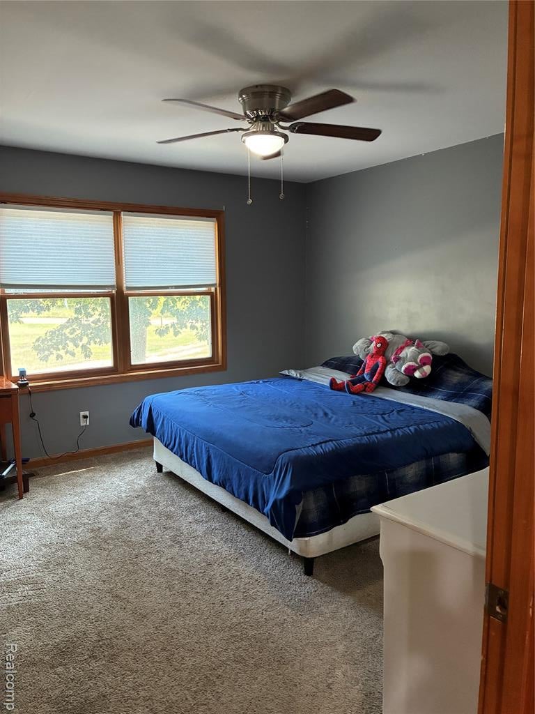 10995 East Isabella County Line Road Coleman, MI 48618 - Photo 24 of 76 Gallery Image 24