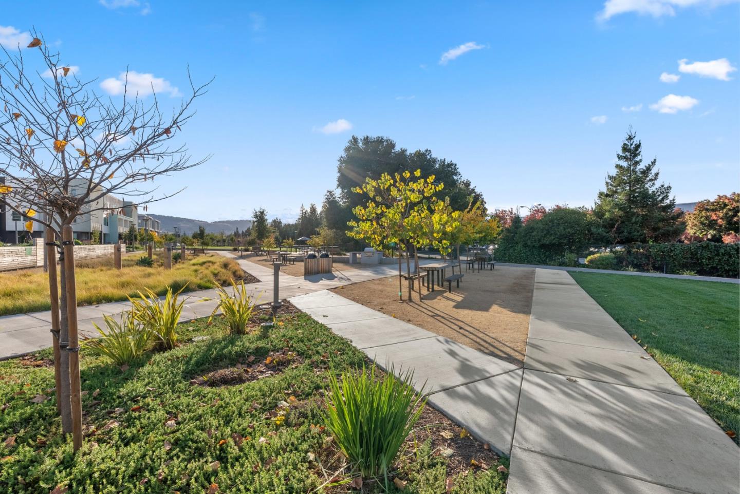 6725 Magnetic Loop San Jose, CA 95119 - Photo 48 of 68 a view of a park with large trees