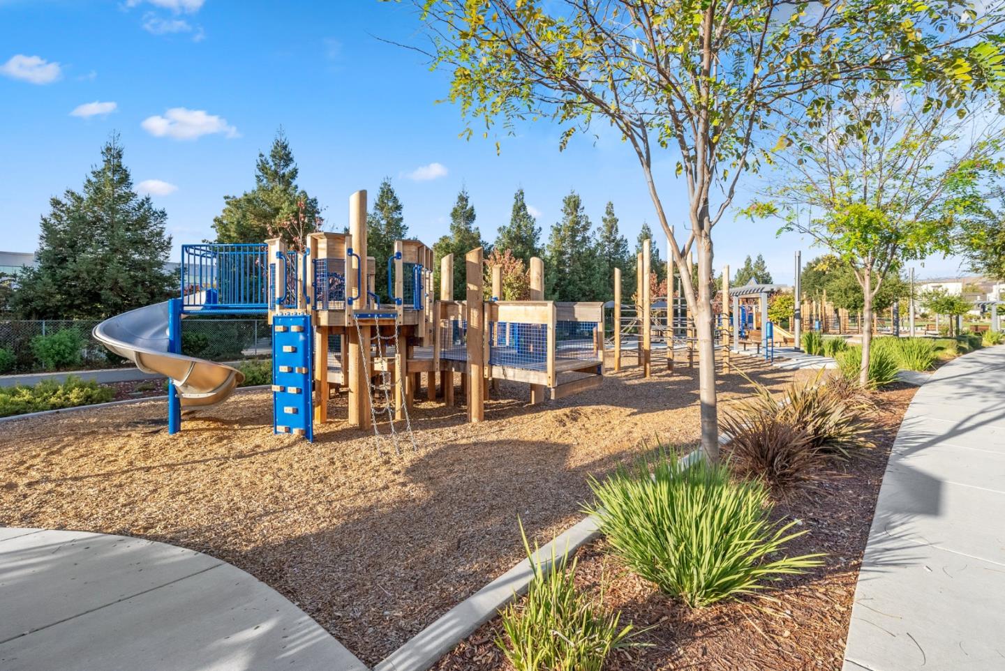 6725 Magnetic Loop San Jose, CA 95119 - Photo 54 of 68 a view of a yard with plants and trees