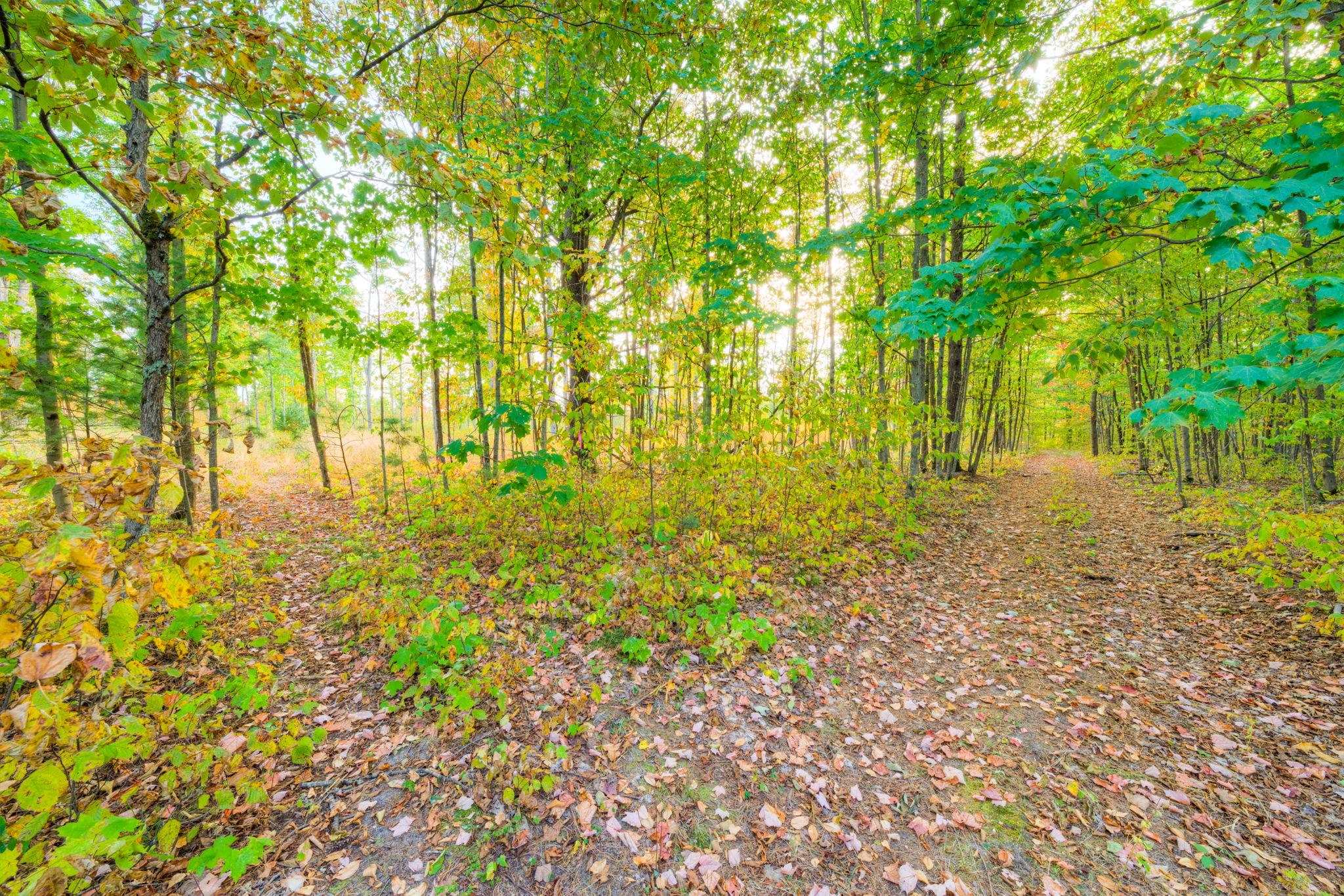 755 North Carmean Road Interlochen, MI 49643 - Photo 51 of 65