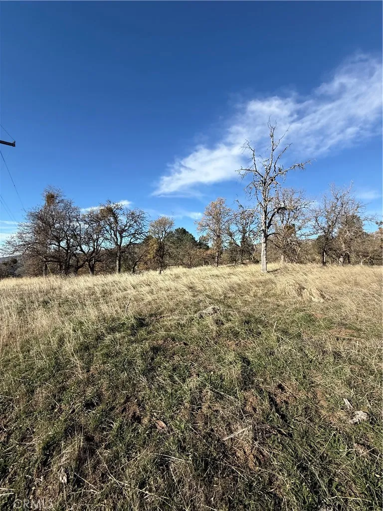 0 Peregrine Place Tehachapi, CA 93561 - Photo 2 of 8 a view of a yard with a tree