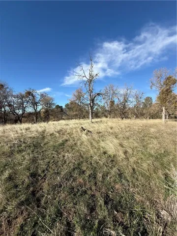 a view of a lake with a building in the background