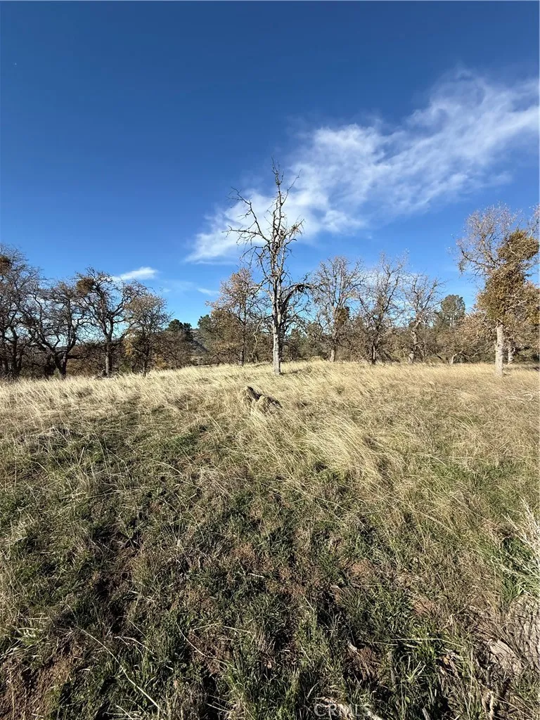 0 Peregrine Place Tehachapi, CA 93561 - Photo 5 of 8 a view of a lake with a building in the background