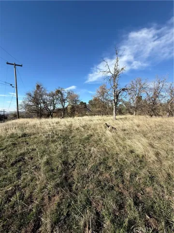 a view of a yard with a house