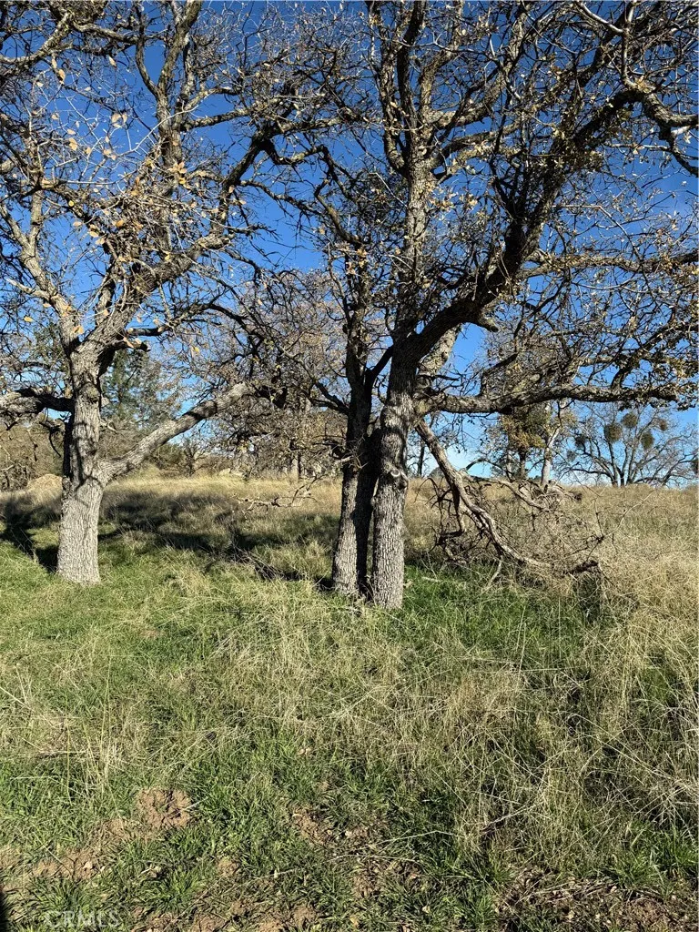 0 Peregrine Place Tehachapi, CA 93561 - Photo 7 of 8