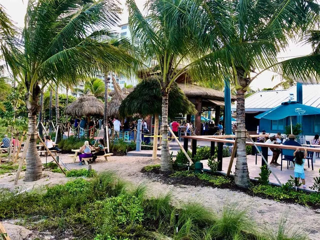 a view of small yard with palm trees