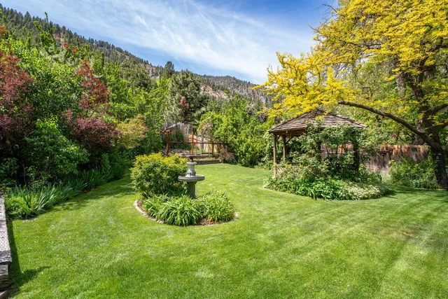 a view of a house with a yard and plants