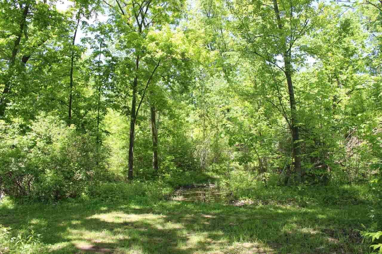5444 West Mt Morris Road Mount Morris, MI 48458 - Photo 45 of 48