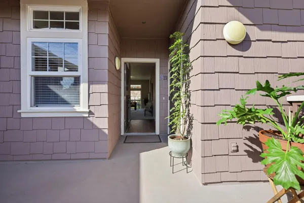a potted plant sitting in front of a door