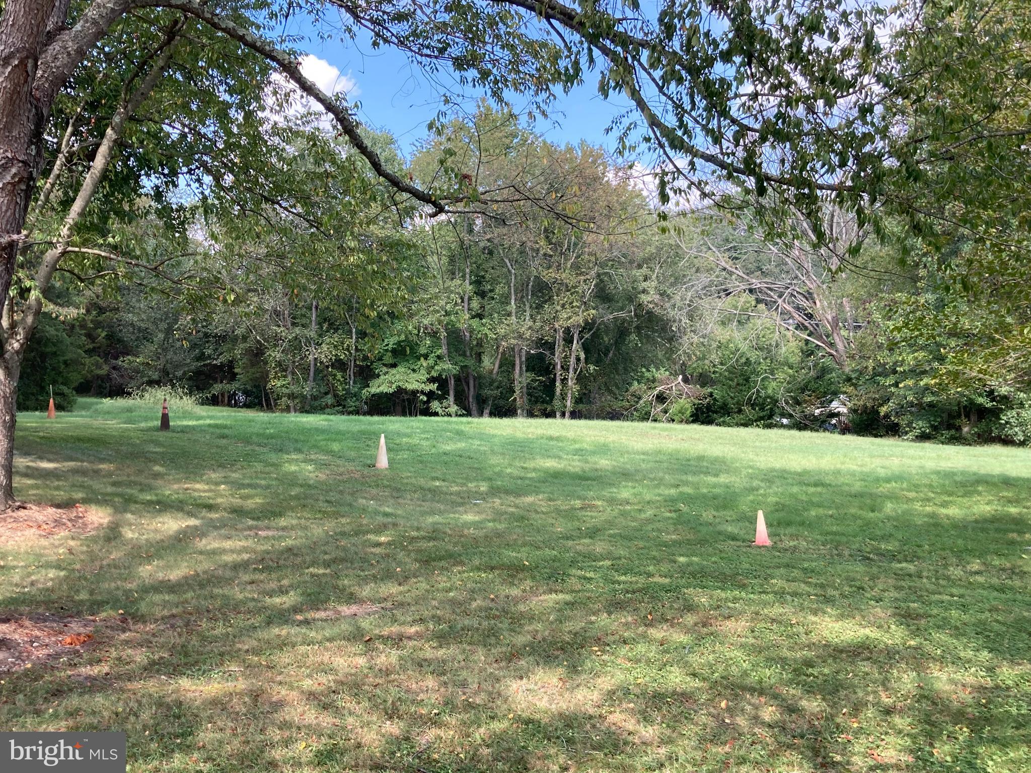 9811 Piscataway Road Clinton, MD 20735 - Photo 3 of 33 Large 2.74 acre lot with open areas & fruit trees