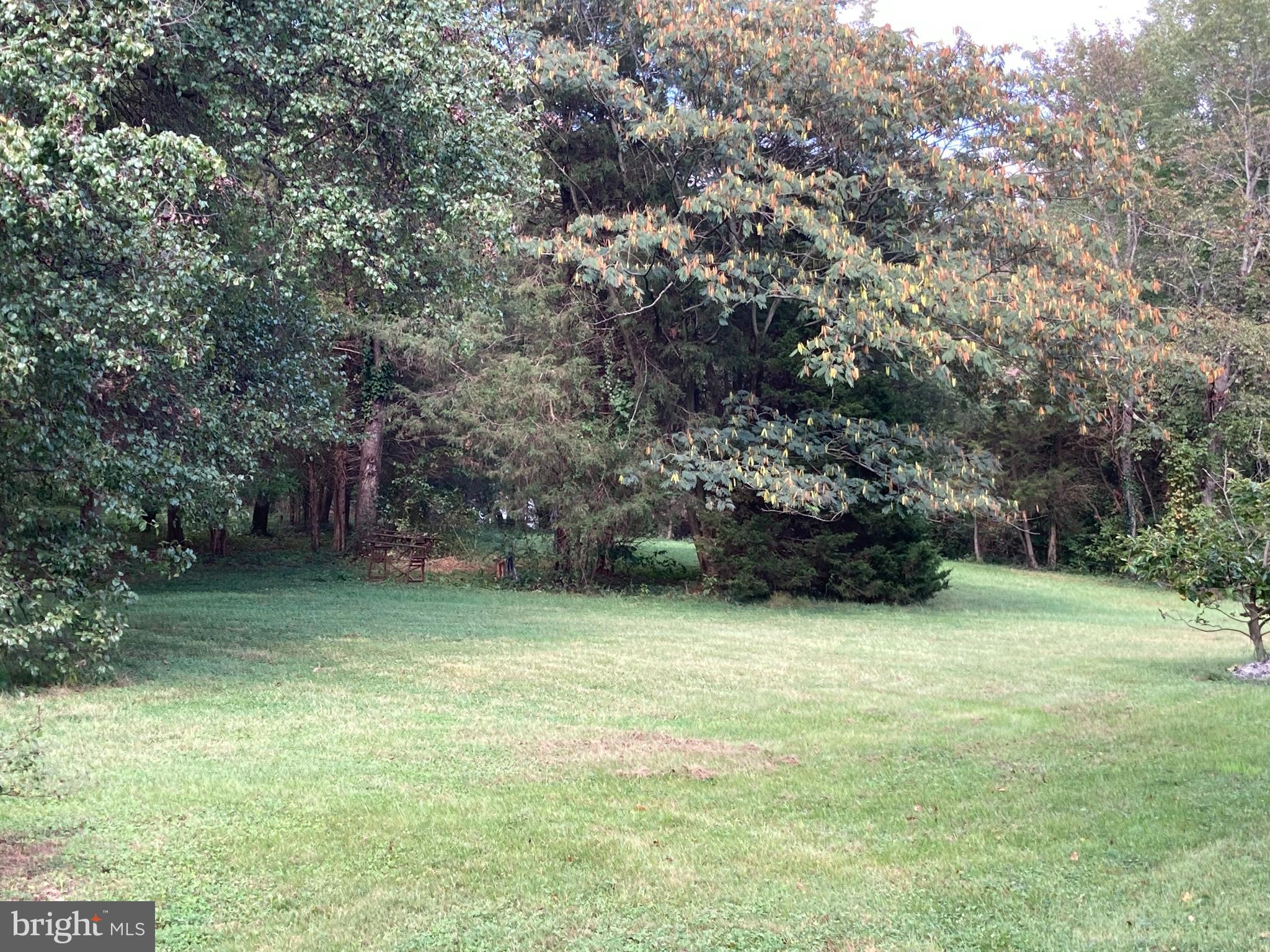 9811 Piscataway Road Clinton, MD 20735 - Photo 4 of 33 Large 2.74 acre lot with open areas & fruit trees