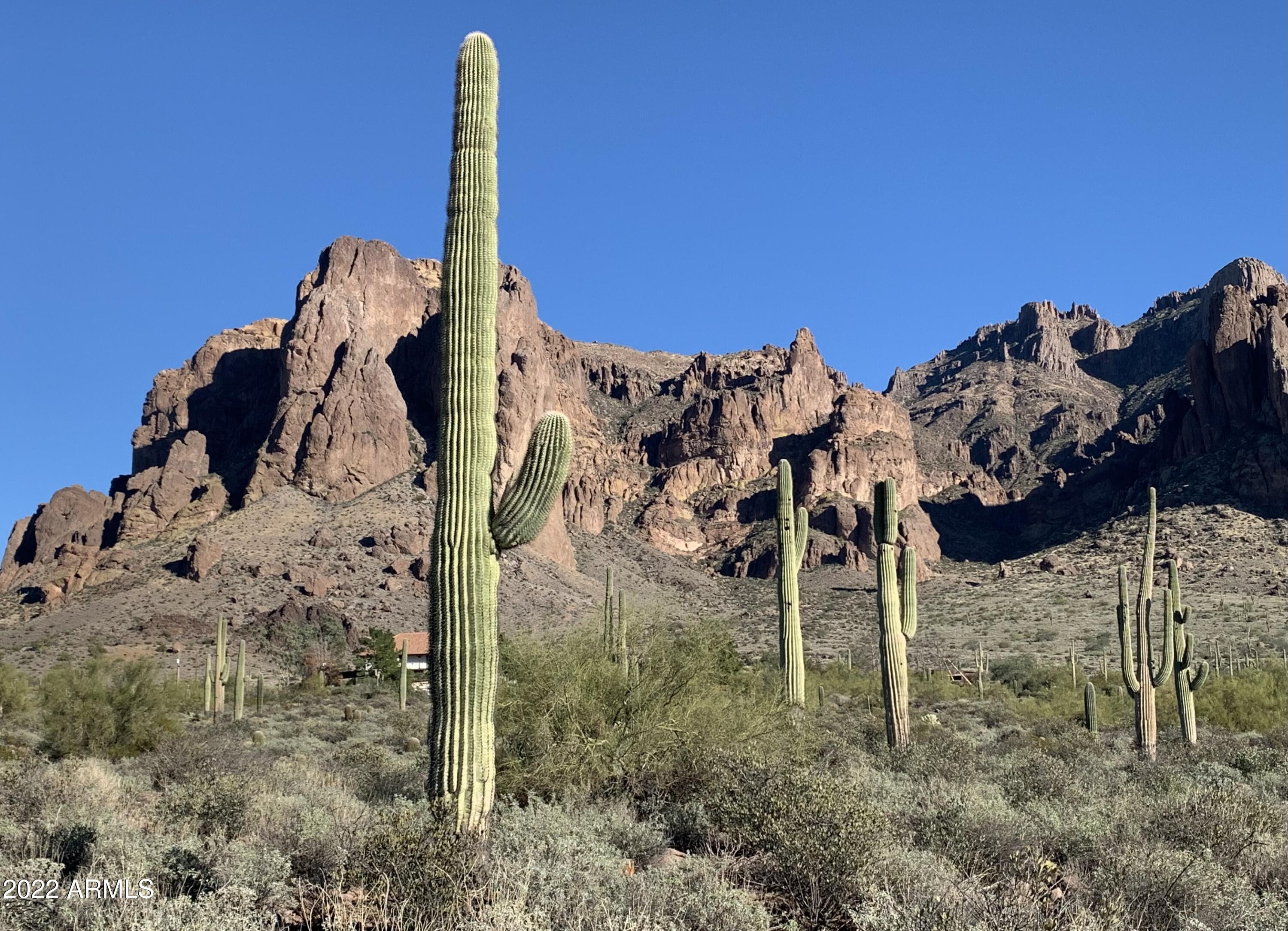 3315 North Prospectors Road Apache Junction, AZ 85119 - Photo 35 of 40 IMG_3141