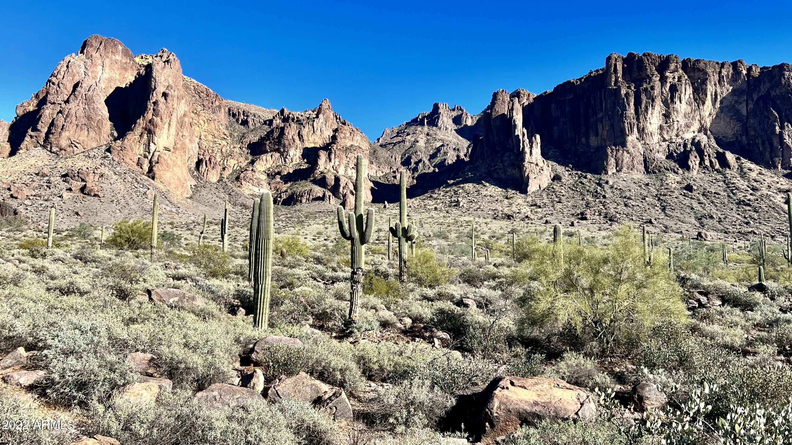 3315 North Prospectors Road Apache Junction, AZ 85119 - Photo 36 of 40 iP 06