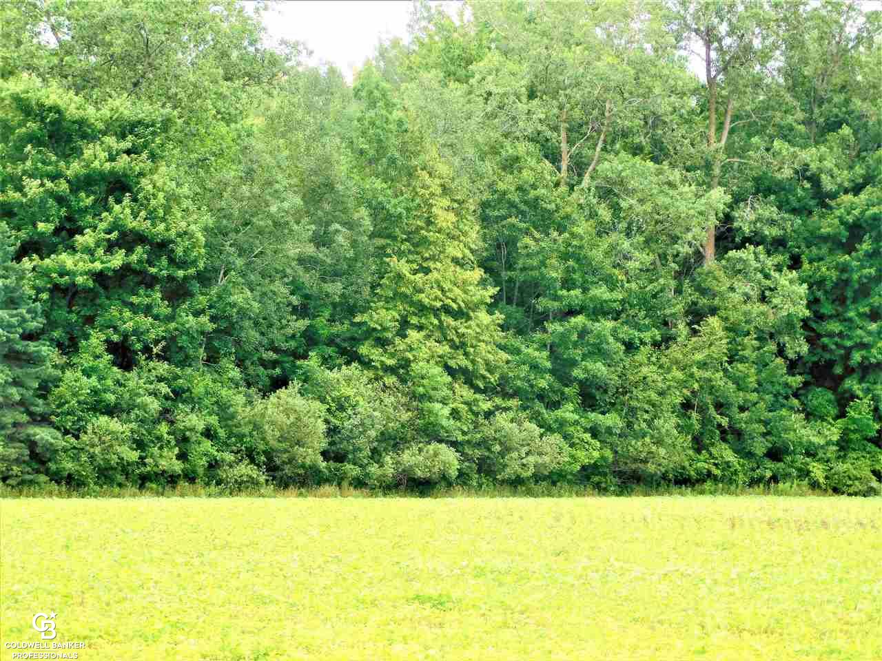 Cribbins Road North Street, MI 48049 - Photo 5 of 7