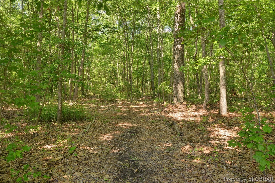 10147 Line Fence Road Hayes, VA 23072 - Photo 50 of 50 Gallery Image 50