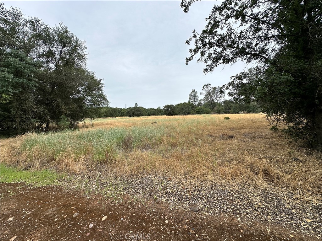414 Beaver Road Oroville, CA 95966 - Photo 5 of 10