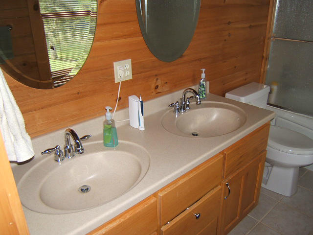 359 Kyles Mill Road Buchanan, VA 24066 - Photo 21 of 52 Master Bath