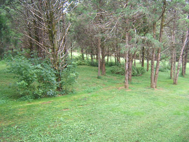 359 Kyles Mill Road Buchanan, VA 24066 - Photo 39 of 52 View of Creek