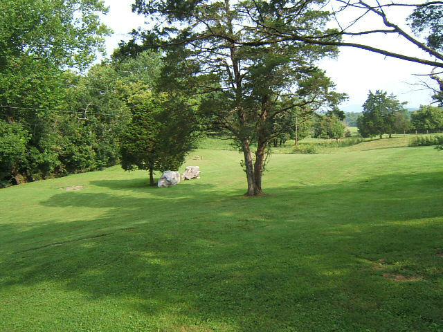 359 Kyles Mill Road Buchanan, VA 24066 - Photo 45 of 52 View of land