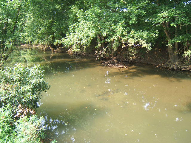 359 Kyles Mill Road Buchanan, VA 24066 - Photo 46 of 52 Creek