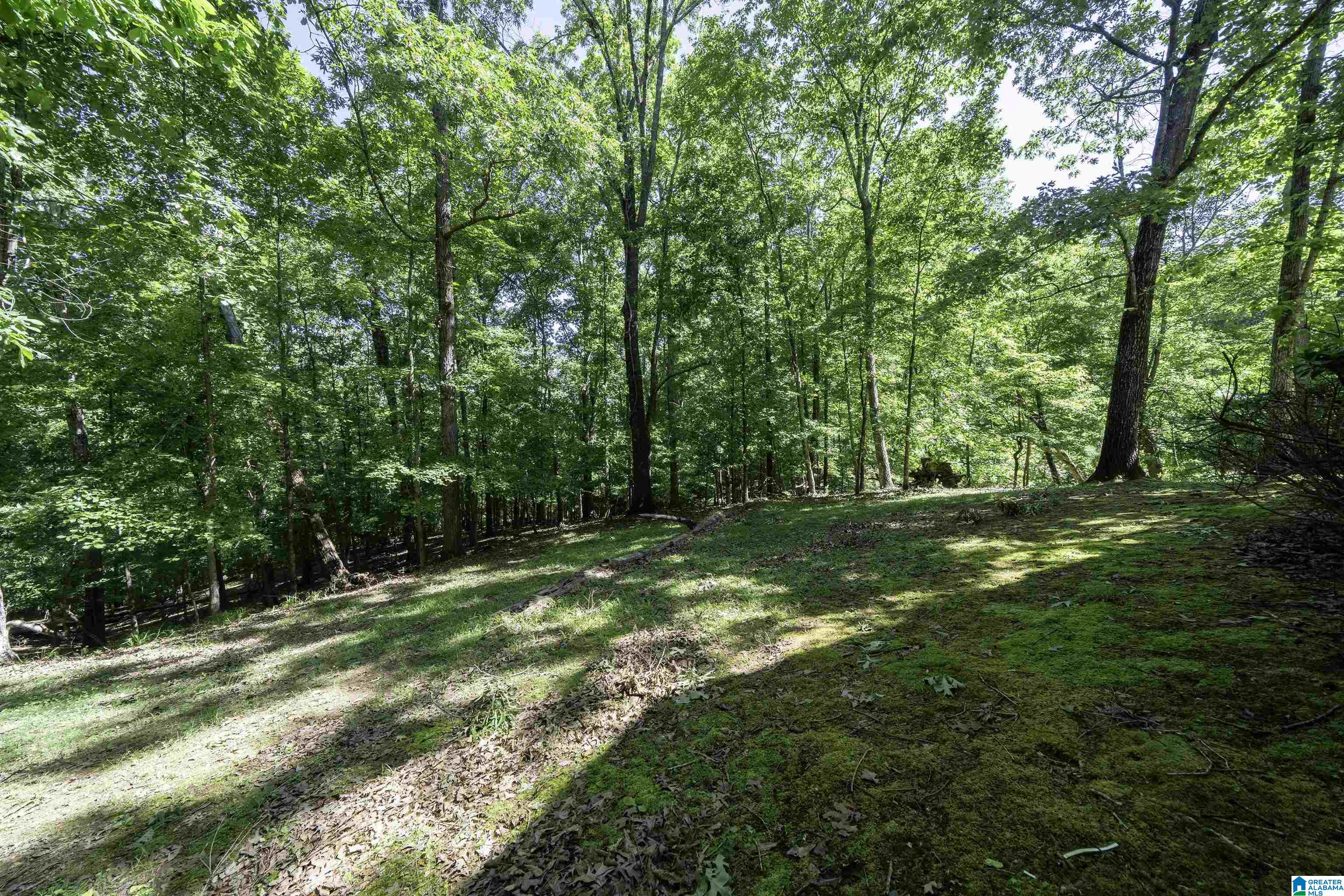 7610 Dollar Road Trussville, AL 35173 - Photo 36 of 37